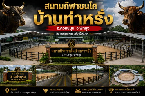 แทงวัวชน UFA365