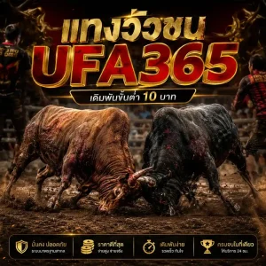 แทงวัวชน UFA365