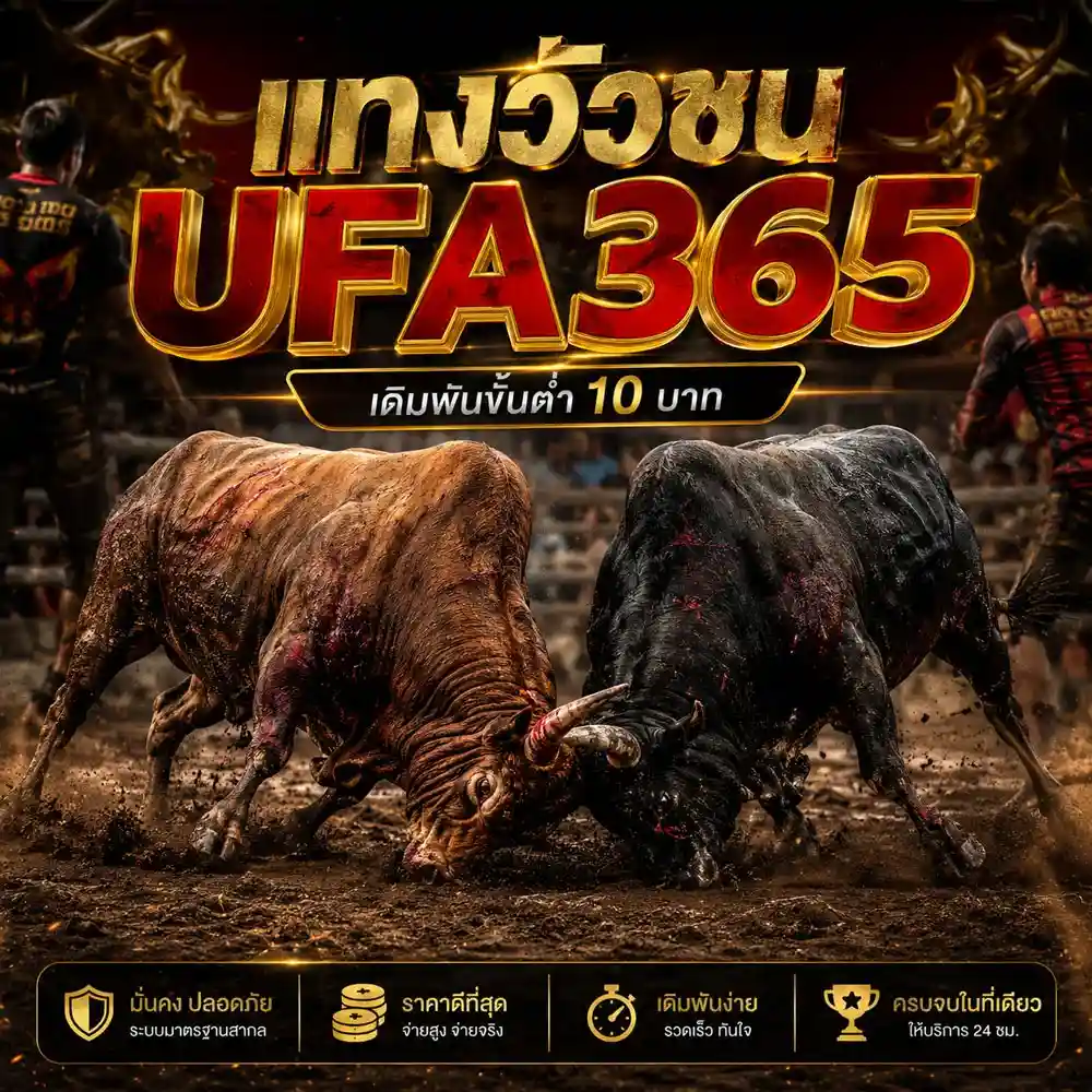 แทงวัวชน UFA365